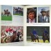 BOOK – SPORT – HORSERACING – QUEST FOR GREATNESS – A CELEBRATION OF LAMMTARRA AND THE 1995 RACING SEASON by LAURA THOMPSON